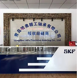 Chine Qingdao Haver Seiko Bearing Co., Ltd.