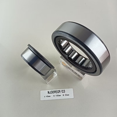 Rameau à rouleaux cylindriques à une rangée unique de 45*100*25 mm NU/NJ/NF309ECP avec lubrification à l'huile