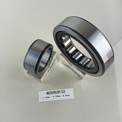 Rameau à rouleaux cylindriques à une rangée unique de 45*100*25 mm NU/NJ/NF309ECP avec lubrification à l'huile